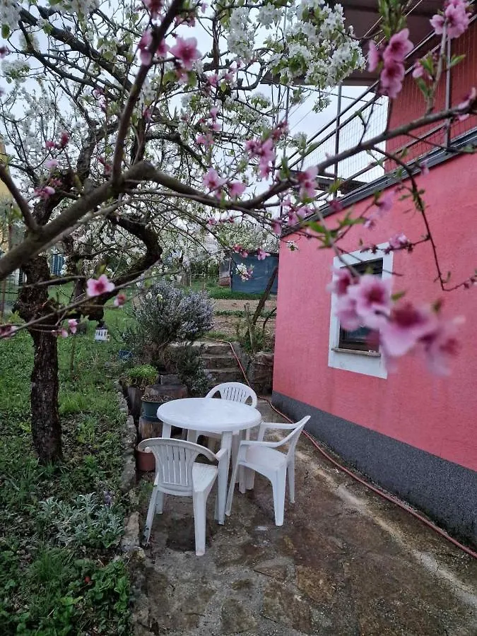 Apartman Sandro